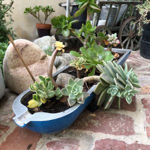 Tank Planter