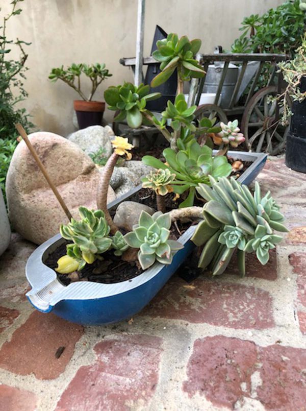 Tank Planter